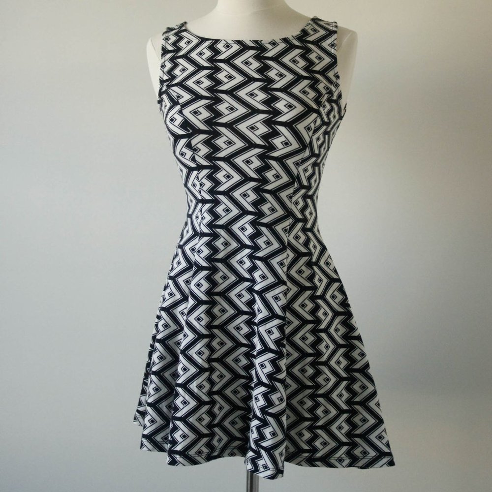 Chevron Print Skater Dress